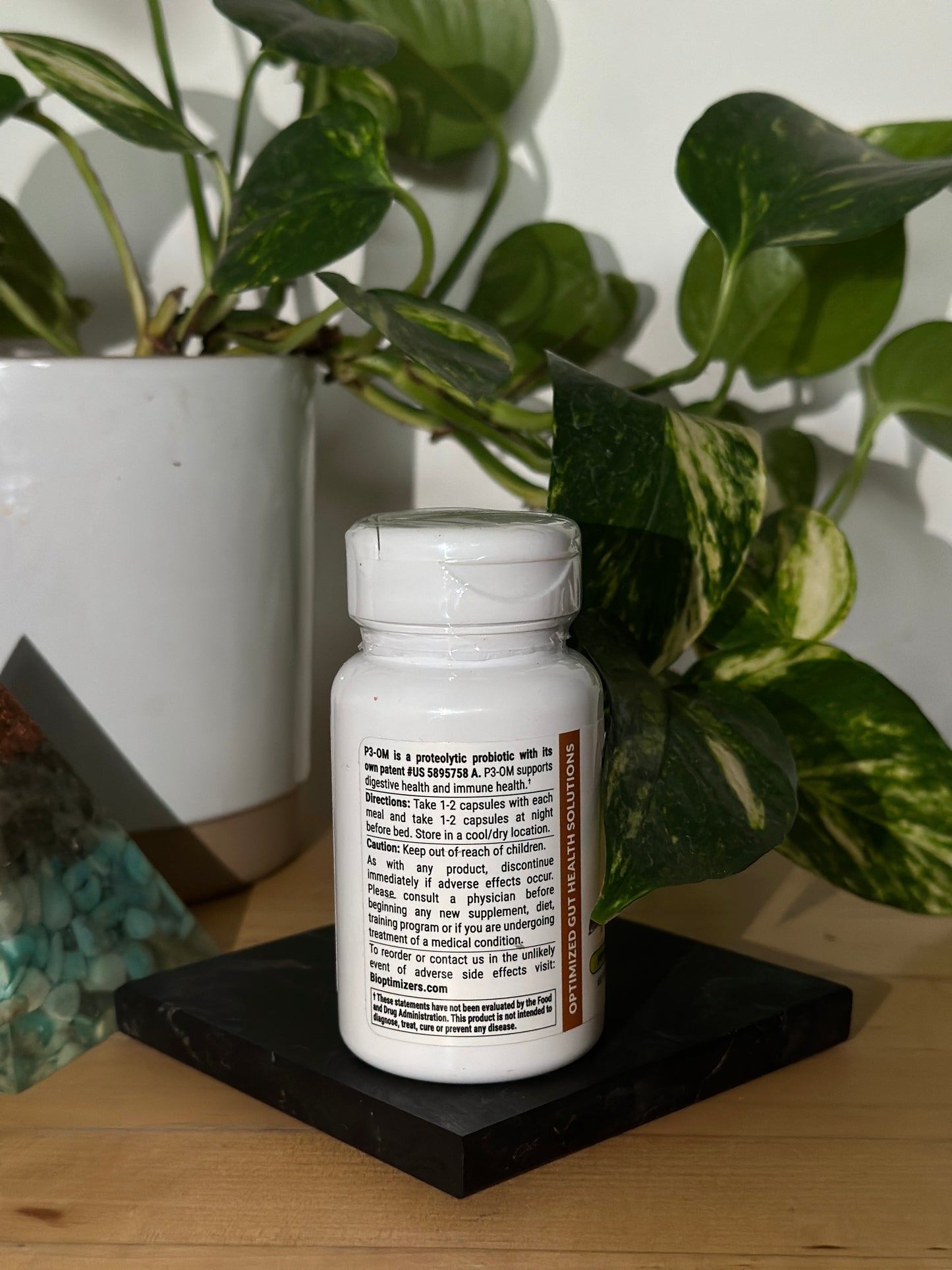 P3OM (Probiotic)
