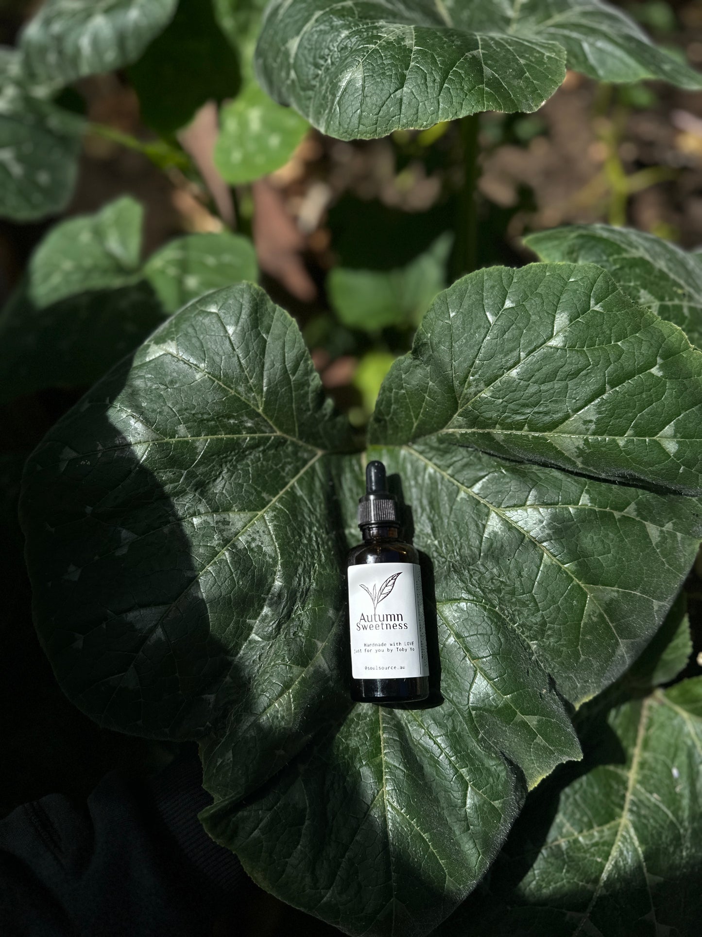 Autumn Sweetness Face Oil