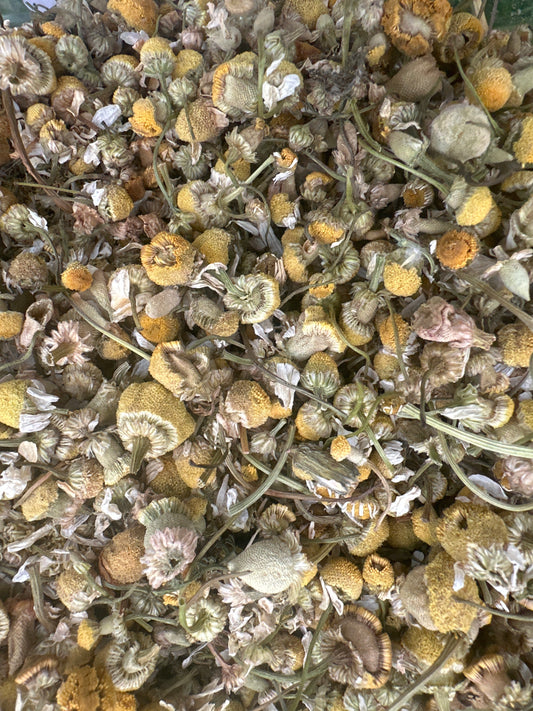 Organic Chamomile Flower Tea