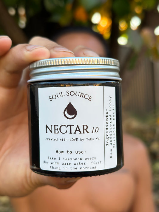 NECTAR (Shilajit & Raw Honey)